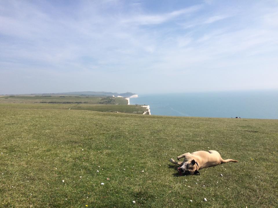 21105737_272904409874153_6950010962678598728_n